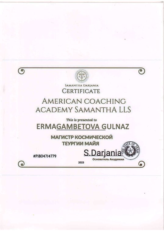 American Coaching Academy